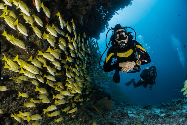 A man scuba diving with fishes 