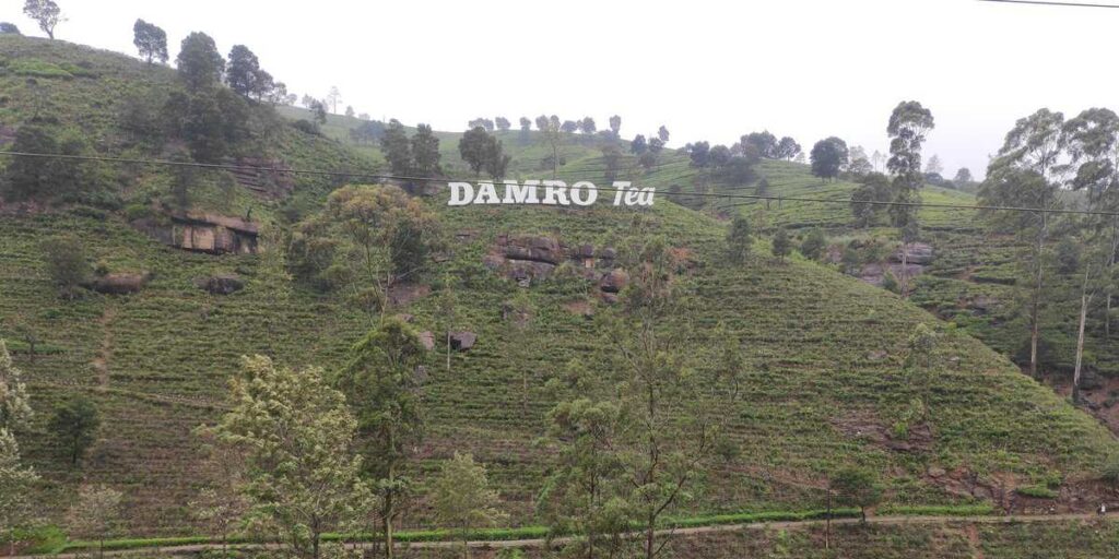 Damro tea factory