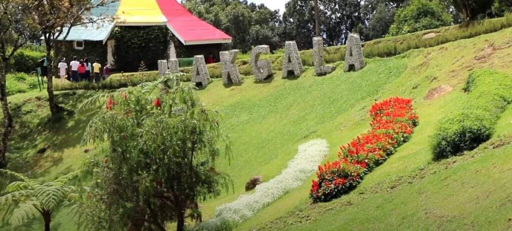 Hakgala botanical garden
