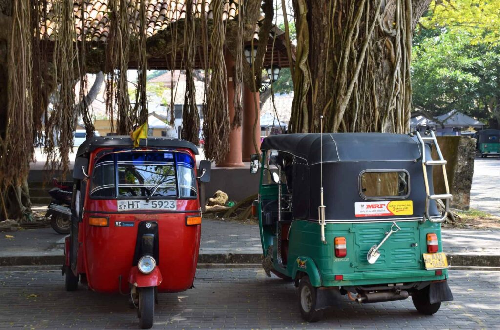 Two tuk-tuks parked near the tree