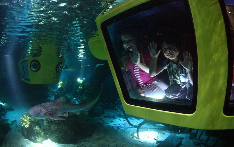 Children Riding in a Submarine in legoland Dubai
