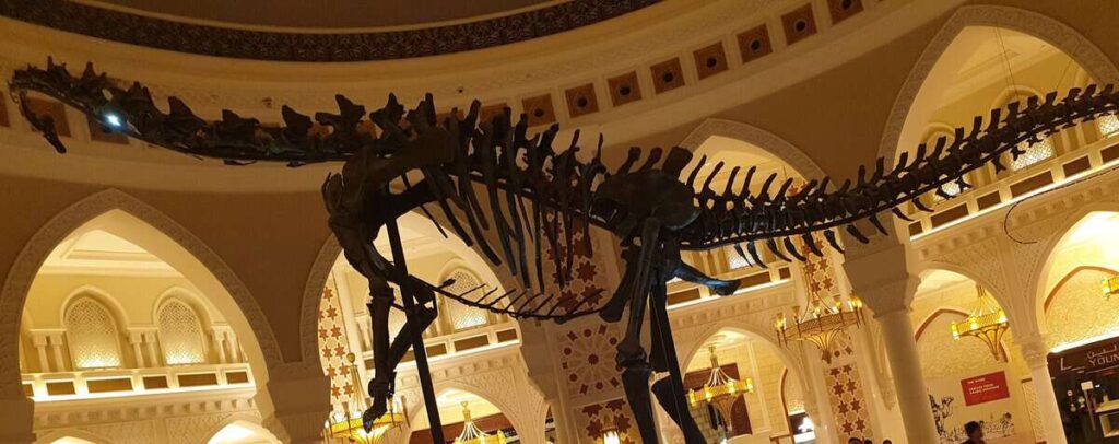 A dinosaur skeleton displayed inside Dubai mall