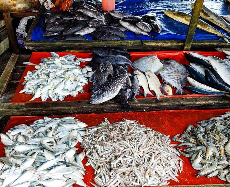 Galle fish market fishes put on display