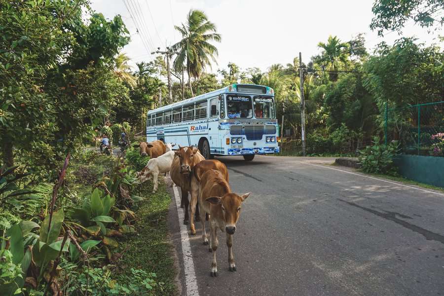 Sri lanka bus travelling on the road