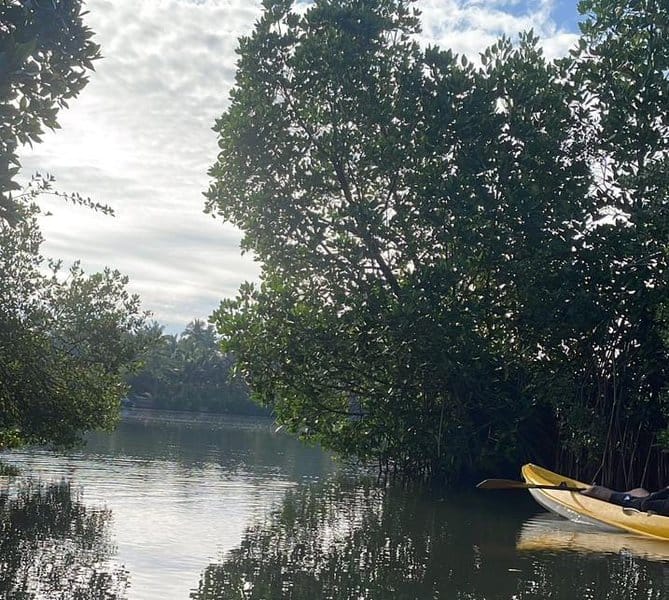 koggala lake safari