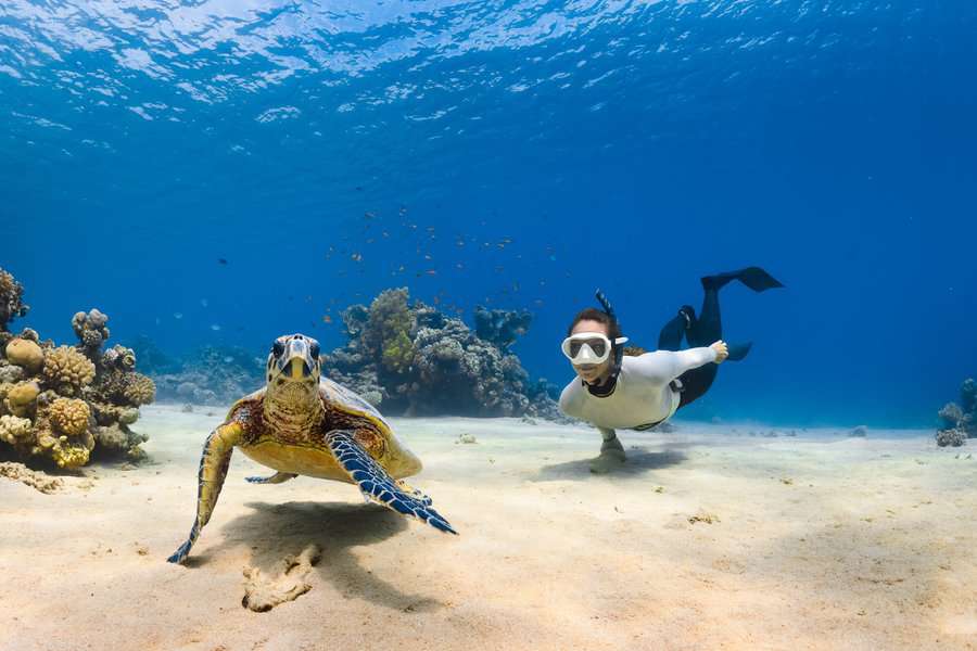 A woman snorkeling right next to the sea turtle