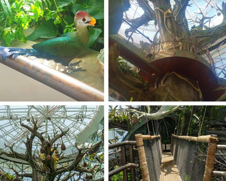 Inside view of the green planet Dubai