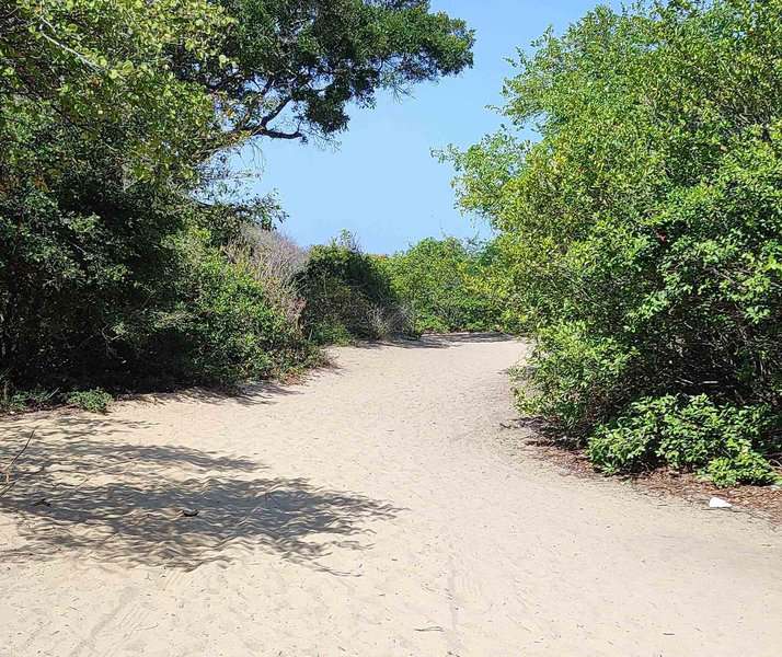 the walking path on the sandy beach from vehicle parking area to the elephant rock