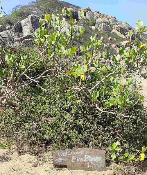 A hand written welcome sign placed near Elephant Rock Arugambay