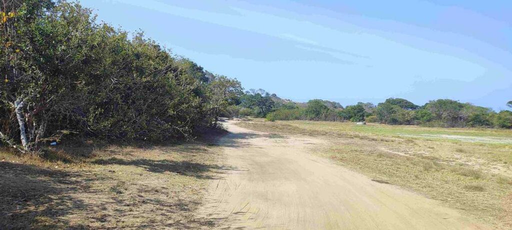 The final part of the gravel road covered with sands that leads to the Elephant Rock