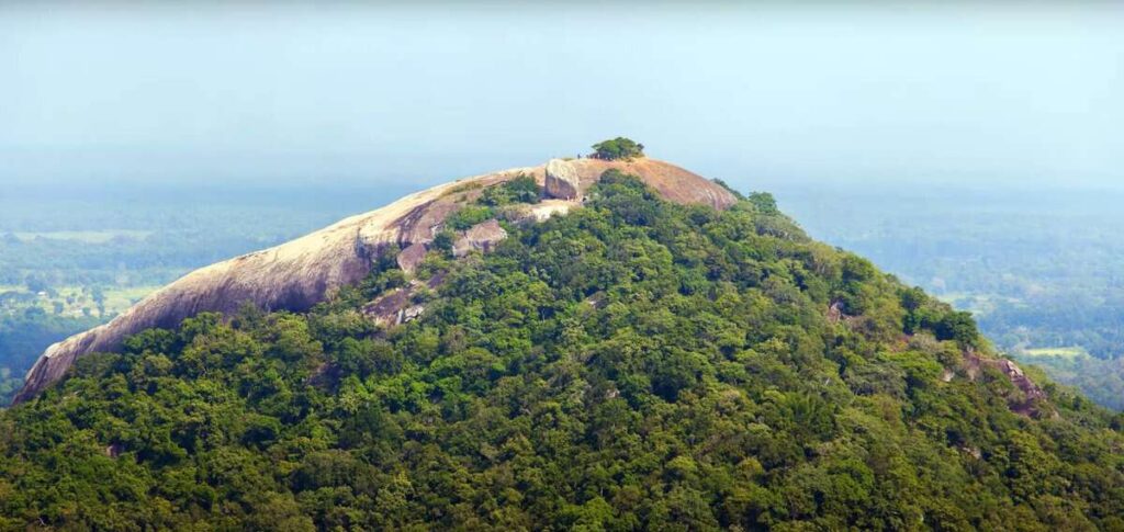 pidurangala rock view from Sigiriya Rock