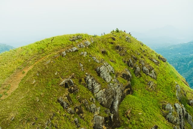 Little adams peak trails