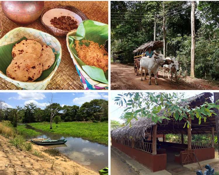 several images of Hiriwadunna Village Dambulla