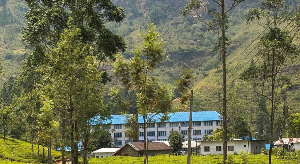 A beautiful tea factory located amidst tea hills