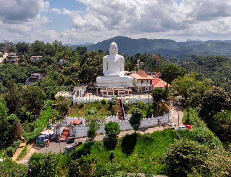 The Amazing view of sri maha bodhi