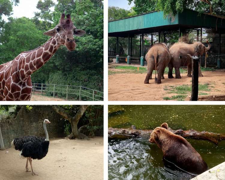 Dehiwala zoo