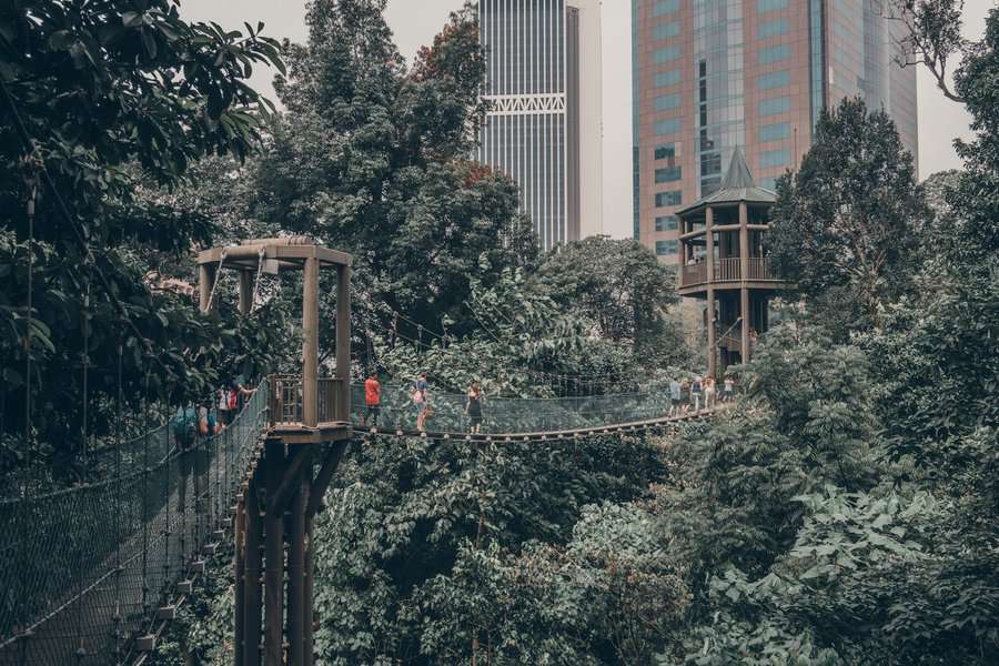 canopy walk, a suspended aerial bridge at KL Eco Forest Park Kuala Lumpur Malaysia