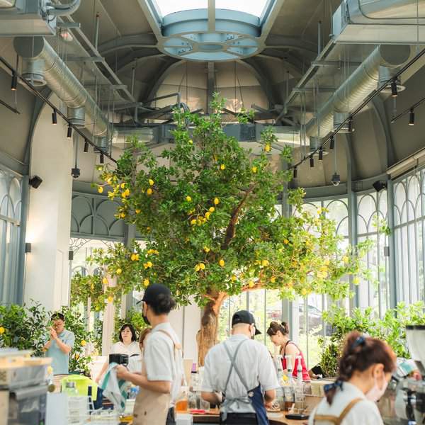 Inside view of Lemon Tree cafe in KL